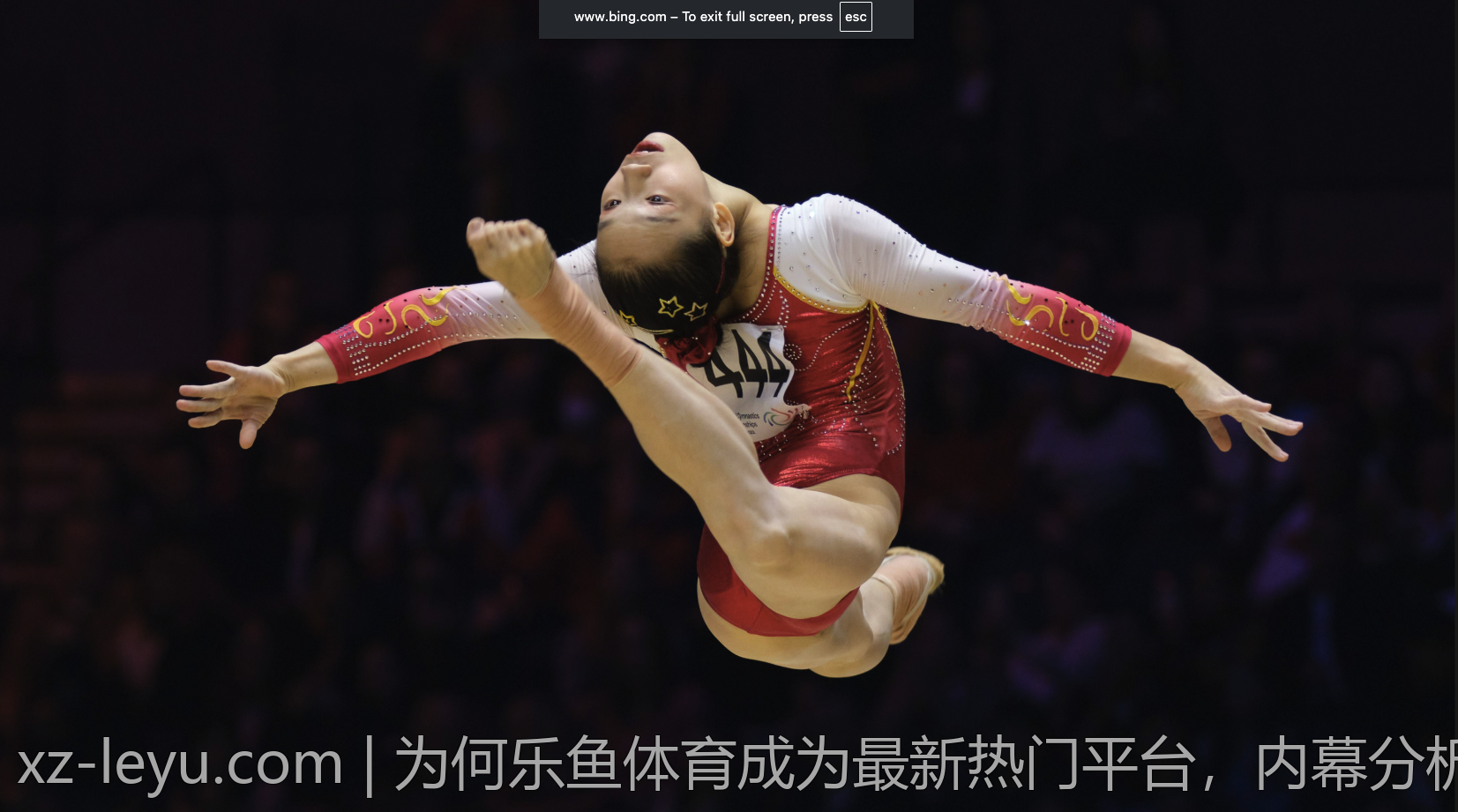 为何乐鱼体育成为最新热门平台，内幕分析