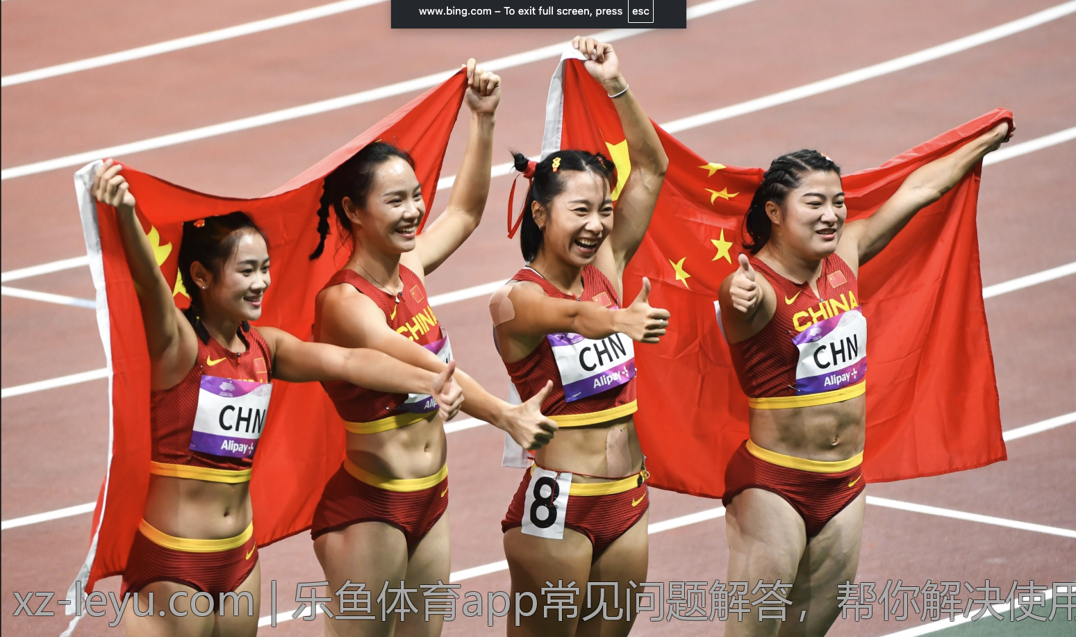 乐鱼体育app常见问题解答，帮你解决使用困扰