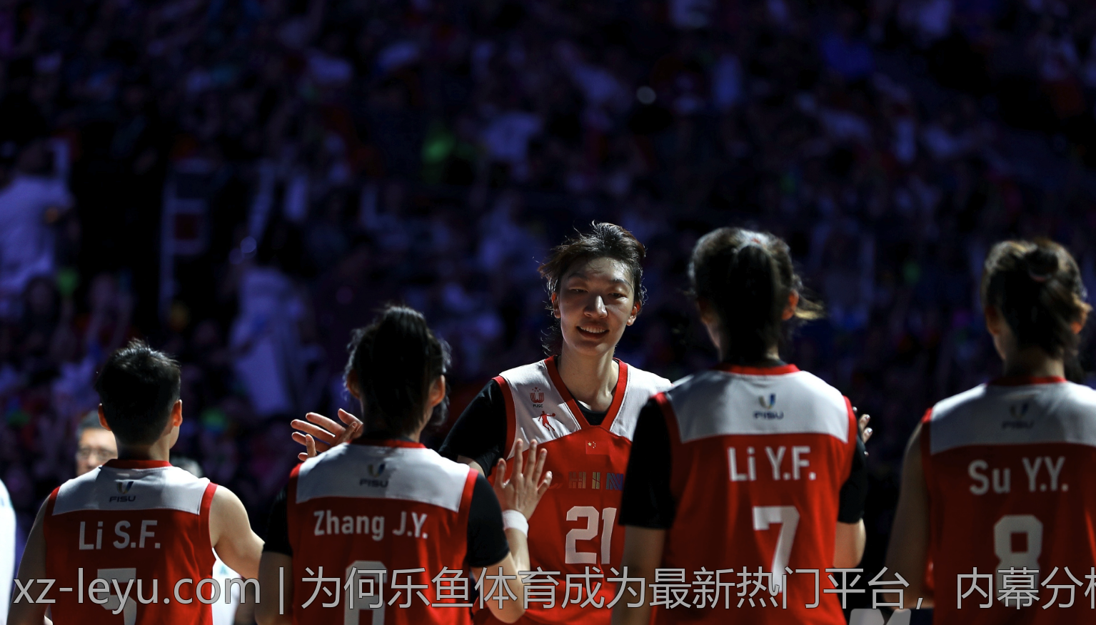 为何乐鱼体育成为最新热门平台，内幕分析