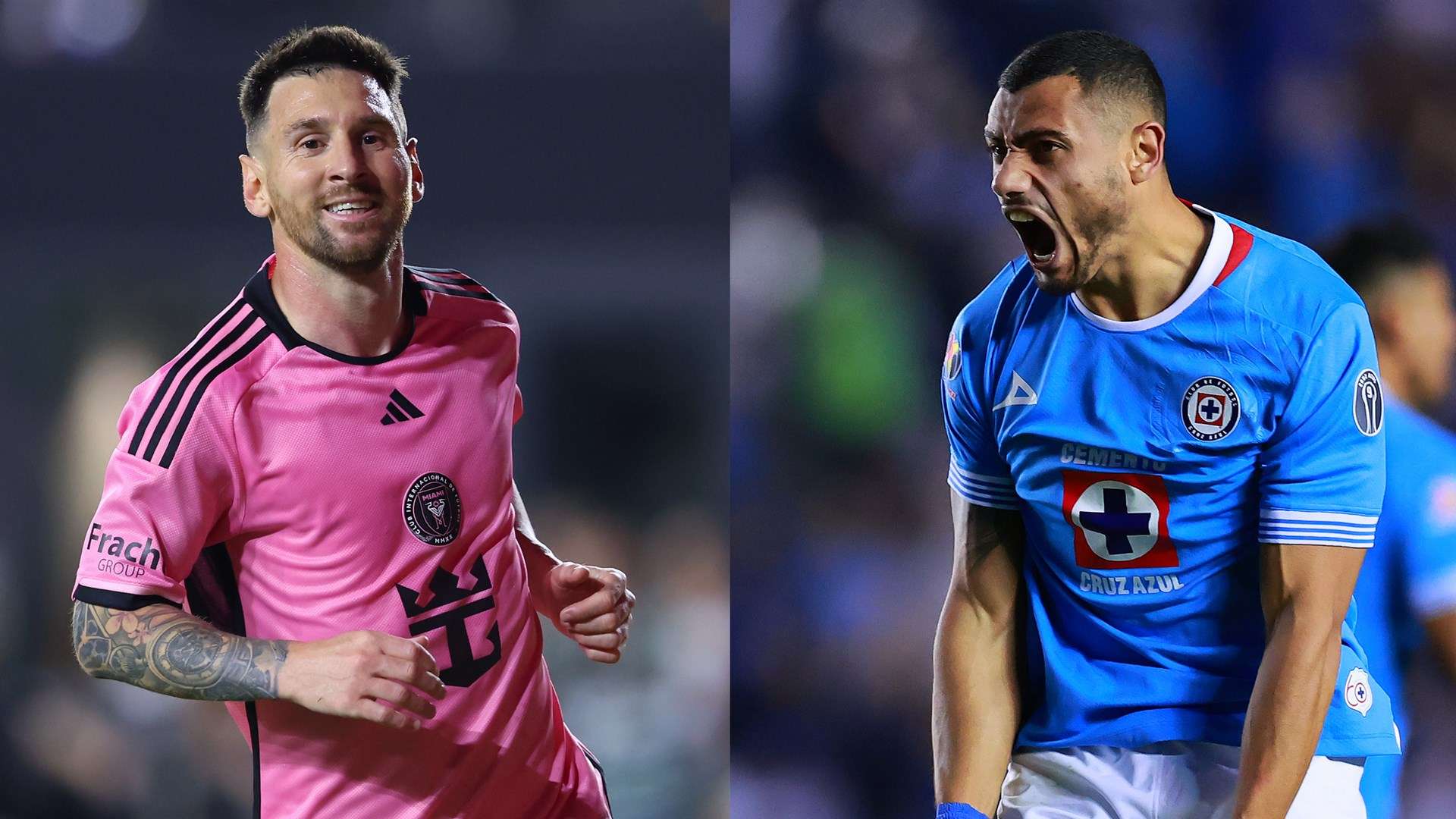 但价格较高 但价格较高